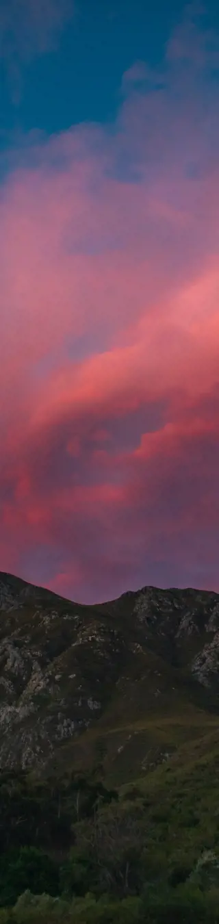 Degustiere die südafrikanischen Weine von Robertson